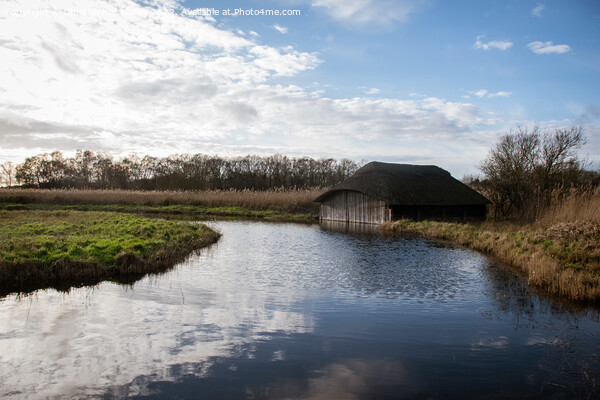 Blue skies over Hickling Broad boat house Picture Board by Christopher Keeley