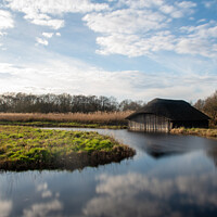 Buy canvas prints of Reflections at Hickling Broad by Christopher Keeley