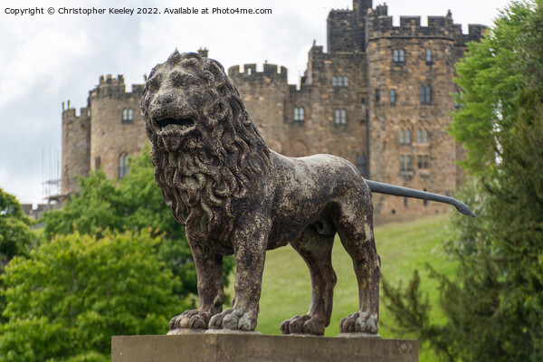 Lion statue at Alnwick Castle Picture Board by Christopher Keeley
