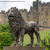 Buy canvas prints of Lion statue at Alnwick Castle by Christopher Keeley