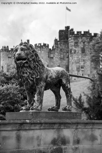 Alnwick Castle lion statue in black and white Picture Board by Christopher Keeley