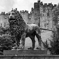 Buy canvas prints of Alnwick Castle lion statue in black and white by Christopher Keeley