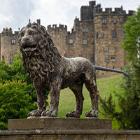 Buy canvas prints of Alnwick Castle lion statue by Christopher Keeley