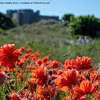 Buy canvas prints of Poppies at Bamburgh Castle by Christopher Keeley