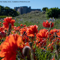 Buy canvas prints of Summer and red poppies at Bamburgh Castle by Christopher Keeley