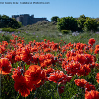 Buy canvas prints of Poppies and Bamburgh Castle by Christopher Keeley