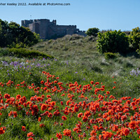 Buy canvas prints of A sea of poppies at Bamburgh Castle by Christopher Keeley