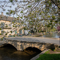 Buy canvas prints of Spring in Bourton-on-the-Water by Christopher Keeley