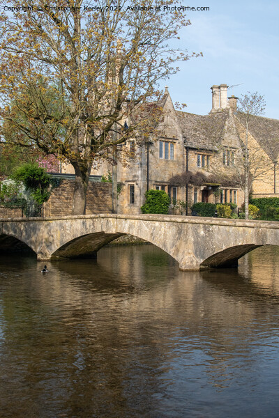 Bridge and cottages in Bourton-on-the-Water Picture Board by Christopher Keeley