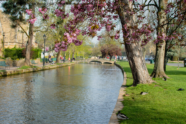 Spring in Bourton-on-the-Water Picture Board by Christopher Keeley