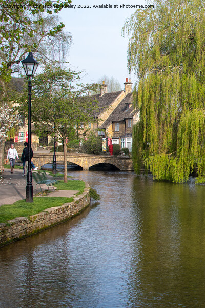 By the river in Bourton-on-the-Water Picture Board by Christopher Keeley