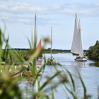 Buy canvas prints of Sailing on the Norfolk Broads by Christopher Keeley