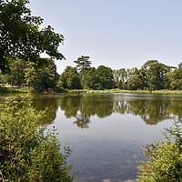 Buy canvas prints of Summer at Holkham lake by Christopher Keeley