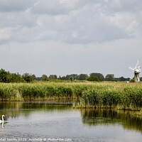 Buy canvas prints of Swan on the Broads by Christopher Keeley