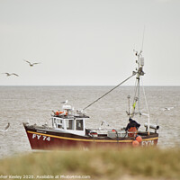 Buy canvas prints of Seagulls following the trawler by Christopher Keeley
