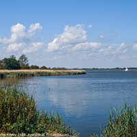 Buy canvas prints of Horsey Mere by Christopher Keeley