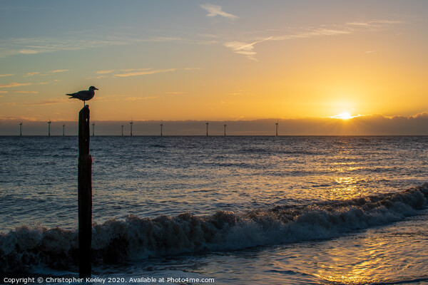 Sunrise at Caister Picture Board by Christopher Keeley