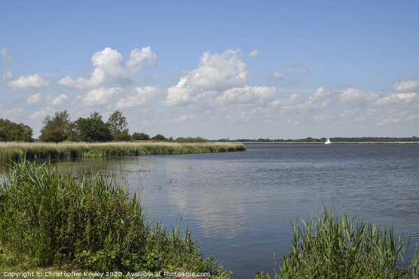 Summer at Horsey Mere. Picture Board by Christopher Keeley