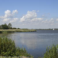 Buy canvas prints of Summer at Horsey Mere. by Christopher Keeley