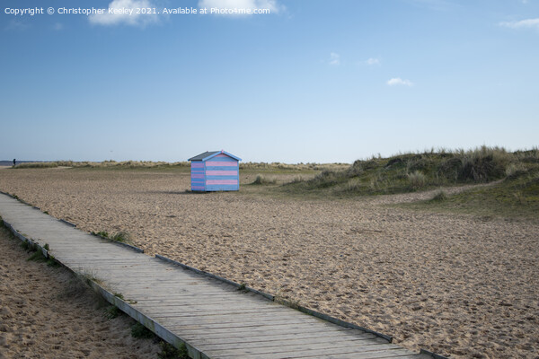 Great Yarmouth beach huts Picture Board by Christopher Keeley