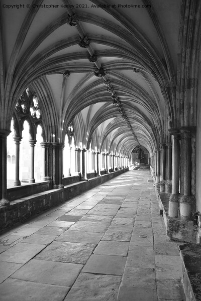 Norwich Cathedral cloisters Picture Board by Christopher Keeley