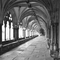 Buy canvas prints of Norwich Cathedral cloisters by Christopher Keeley