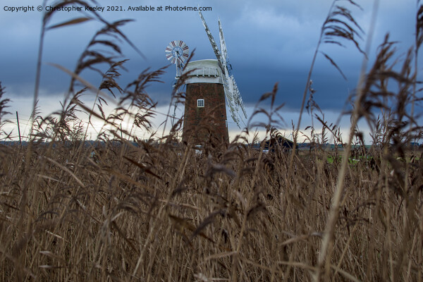 Horsey Windpump through the reeds Picture Board by Christopher Keeley