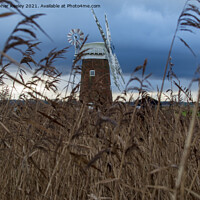 Buy canvas prints of Horsey Windpump through the reeds by Christopher Keeley