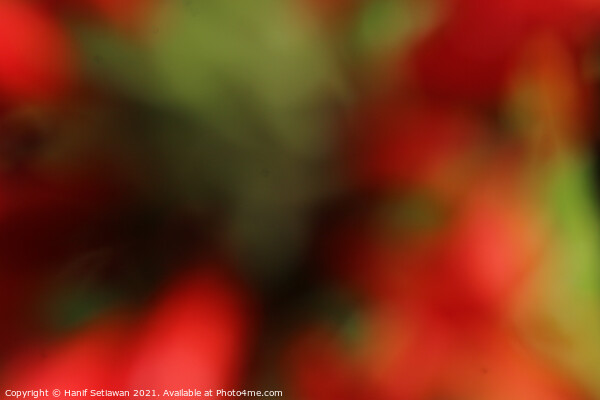 modern painting art in bokeh red green hue Picture Board by Hanif Setiawan