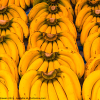Buy canvas prints of Banana bunches in symmetric order. by Hanif Setiawan
