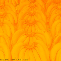 Buy canvas prints of Banana bunches in symmetric order and bright yello by Hanif Setiawan