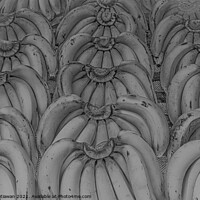 Buy canvas prints of Banana bunches in symmetric order and in grey. by Hanif Setiawan