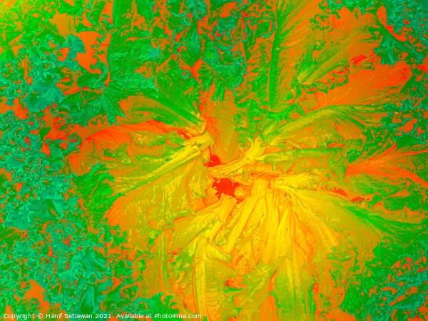 Abstract shapes from lettuce leaves, edit digital. Picture Board by Hanif Setiawan