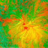 Buy canvas prints of Abstract shapes from lettuce leaves, edit digital. by Hanif Setiawan
