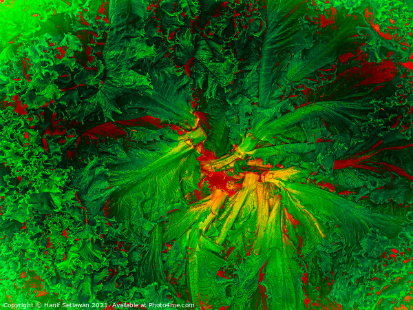 Abstract shapes from lettuce leaves, edit digital. Picture Board by Hanif Setiawan
