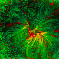 Buy canvas prints of Abstract shapes from lettuce leaves, edit digital. by Hanif Setiawan