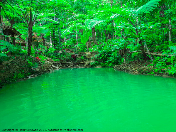 A natural green turquoise pond in a rainforest Picture Board by Hanif Setiawan