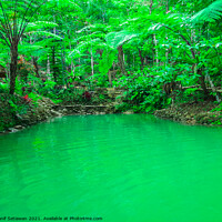 Buy canvas prints of A natural green turquoise pond in a rainforest by Hanif Setiawan