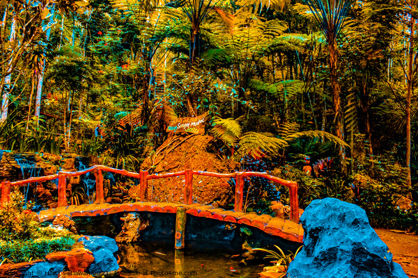 A bamboo bridge at a fish pond in the rain forest  Picture Board by Hanif Setiawan