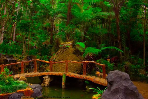 A bamboo bridge at a fish pond in the rain forest  Picture Board by Hanif Setiawan