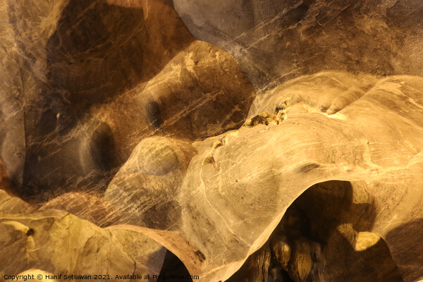 Abstract shapes of a dog snout on cave wall Picture Board by Hanif Setiawan