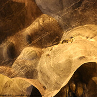 Buy canvas prints of Abstract shapes of a dog snout on cave wall by Hanif Setiawan
