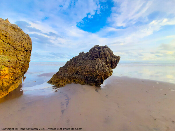 Rocky bird sitting on sand beach and looks to the  Picture Board by Hanif Setiawan