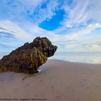 Buy canvas prints of Rocky bird sitting on sand beach and looks to the  by Hanif Setiawan