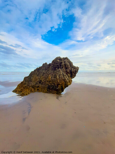 Rocky bird sitting on sand beach and looks to the  Picture Board by Hanif Setiawan