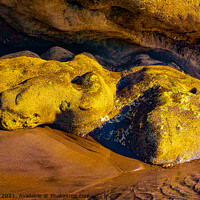 Buy canvas prints of Frog stone sculpture art by natural water erosion by Hanif Setiawan