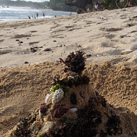 Buy canvas prints of Santa Claus built from sand seaweed and stones at a sand beach 2a by Hanif Setiawan