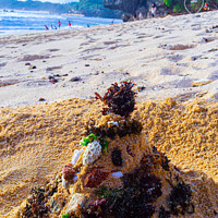 Buy canvas prints of Santa Claus built from sand seaweed and stones at a sand beach 2b by Hanif Setiawan