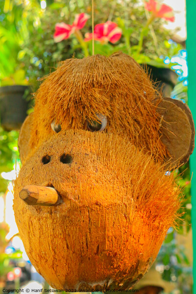 Cigar smoking monkey made from coconut front view Picture Board by Hanif Setiawan