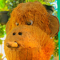 Buy canvas prints of Cigar smoking monkey made from coconut front view by Hanif Setiawan